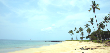 a beach